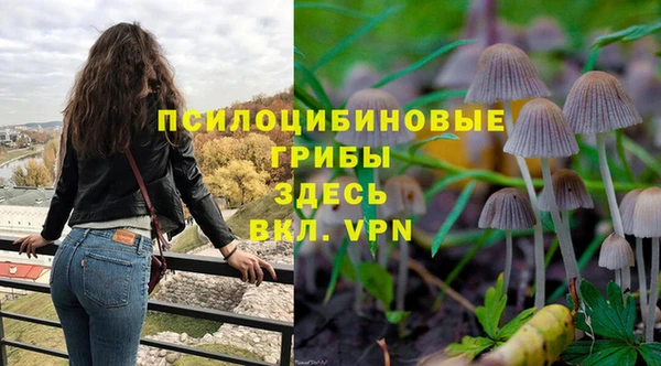 MESCALINE Абаза