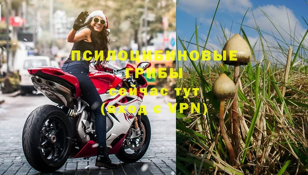гашик Абинск