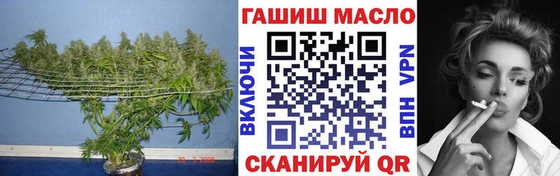 ОМГ ОМГ вход  Александровск-Сахалинский  Дистиллят ТГК концентрат 
